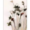 Urban Cotton Wandkleden^Wandkleed Pastel Flowers